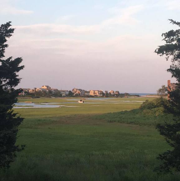 Meet your Posher, Michael - Picture 1 of 1